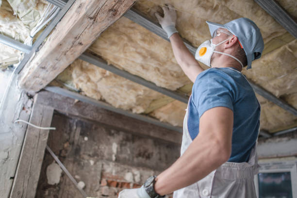 Best Insulation Installation Services in Shannon Hills, AR